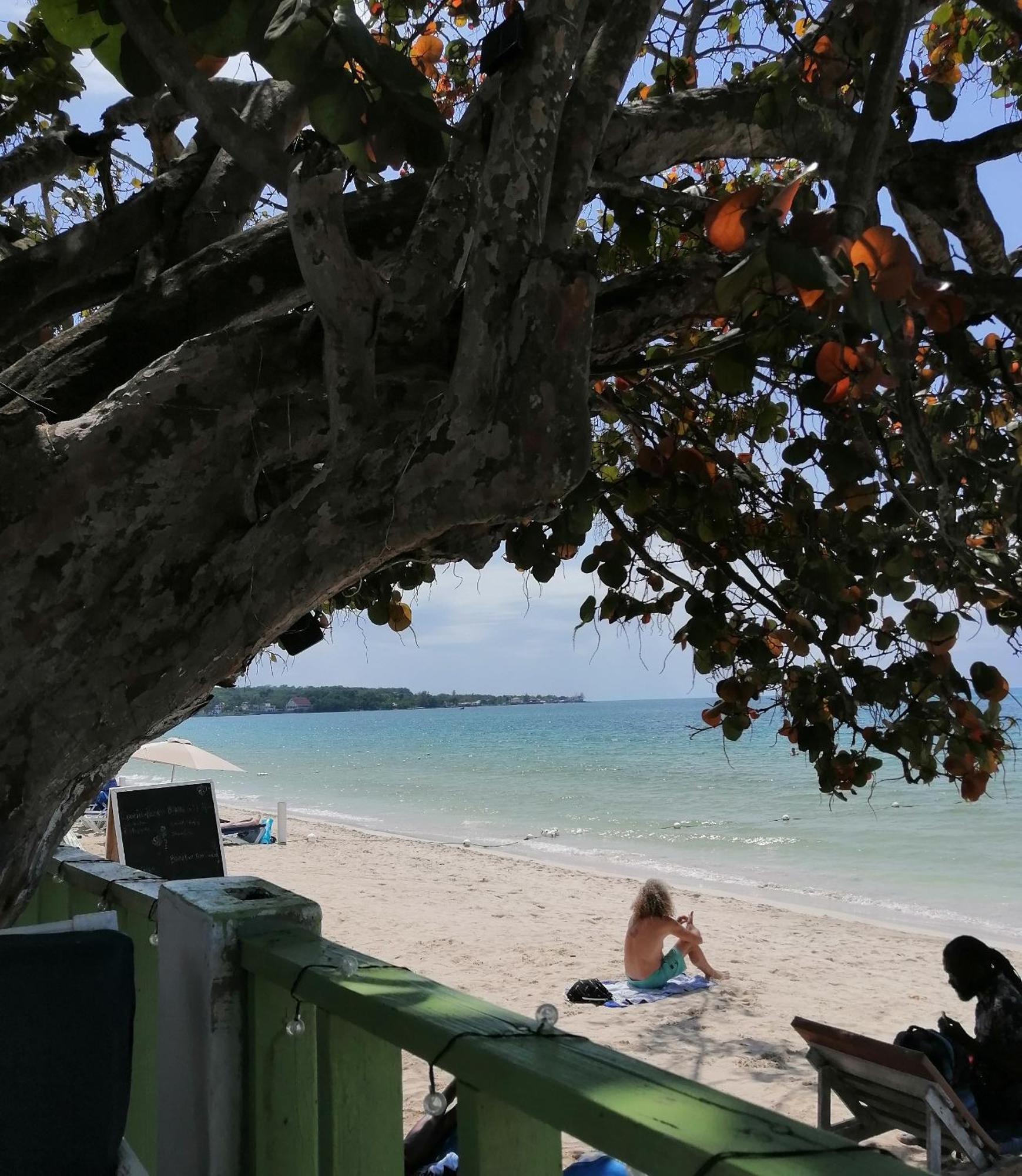 Yoga Dreams Negril Hotel Exterior photo