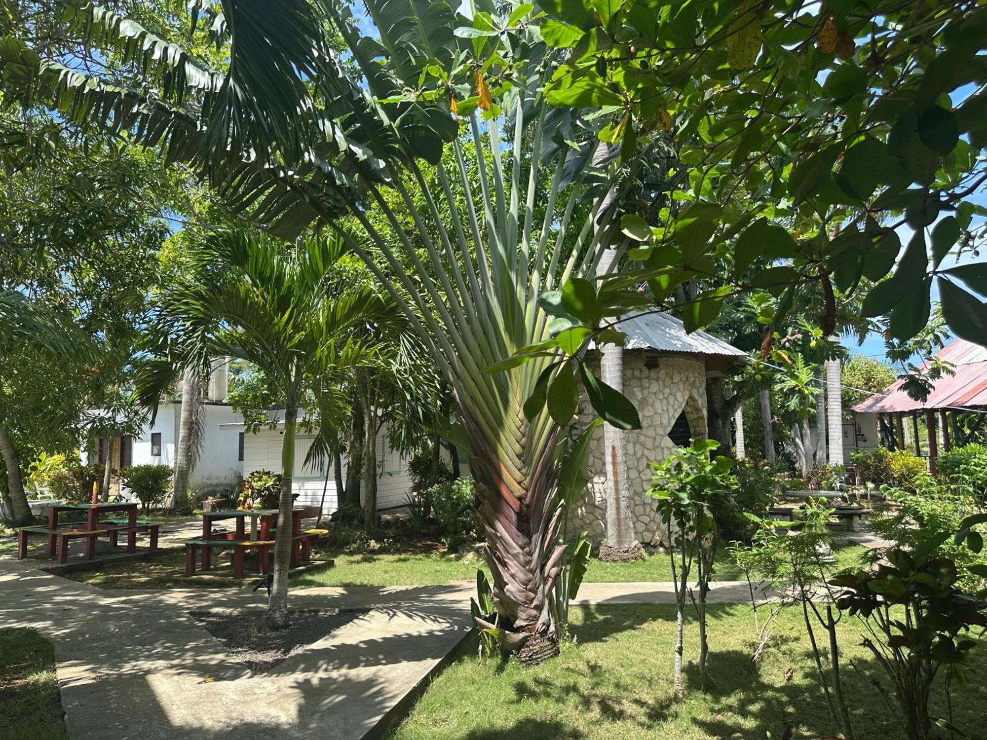 Yoga Dreams Negril Hotel Exterior photo